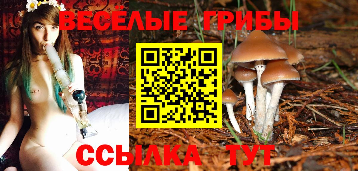Псилоцибиновые грибы Cubensis  Вход с VPN  Псилоцибиновые грибы MAGIC MUSHROOMS  Братск 